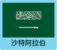沙特阿拉伯
